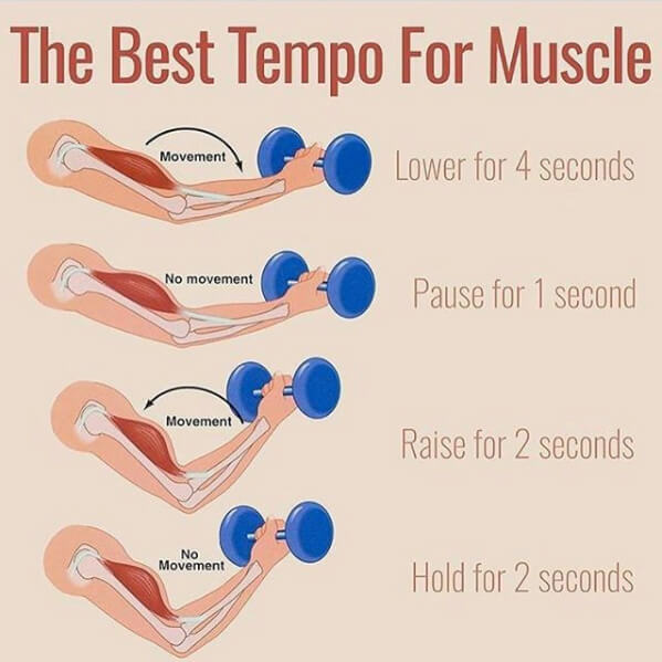 The Best Tempo For Muscle! Healthy Fitness Tips For Workout