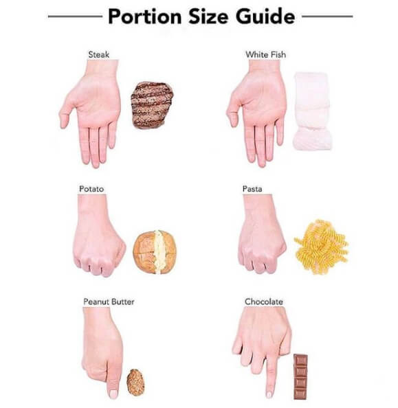 Portion Size Guide! Healthy Fitness Training Plan