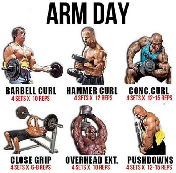 Arm Day Workout Plan! Healthy Fitness Training