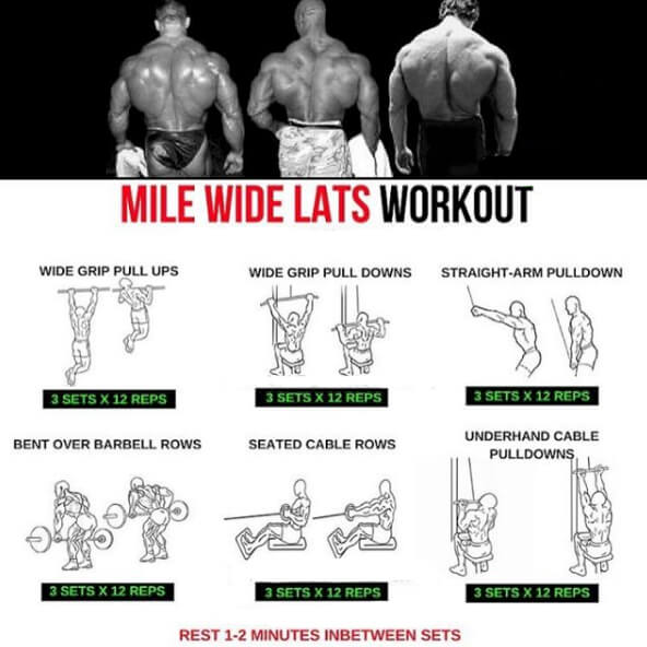 Mile Wide Lats Workout! Healthy Fitness Back Training