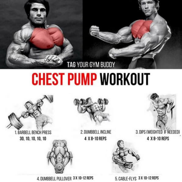 Chest Pump Workout! Tag Your Gym Buddy For Stronger Training