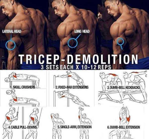 Tricep Demolition! Hardcore Triceps Muscle Training Plan