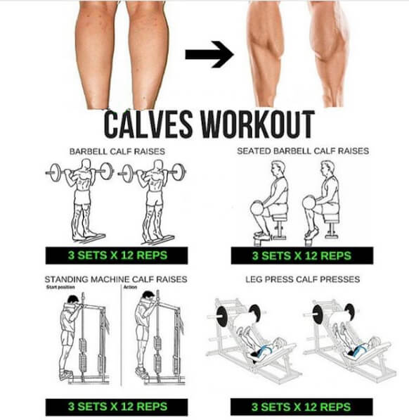 Best Calves Workout Plan! Big Strong Legs Training