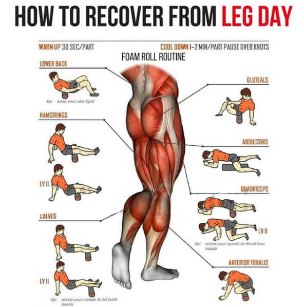 How To Recover From Leg Day! Big Strong Legs Workout