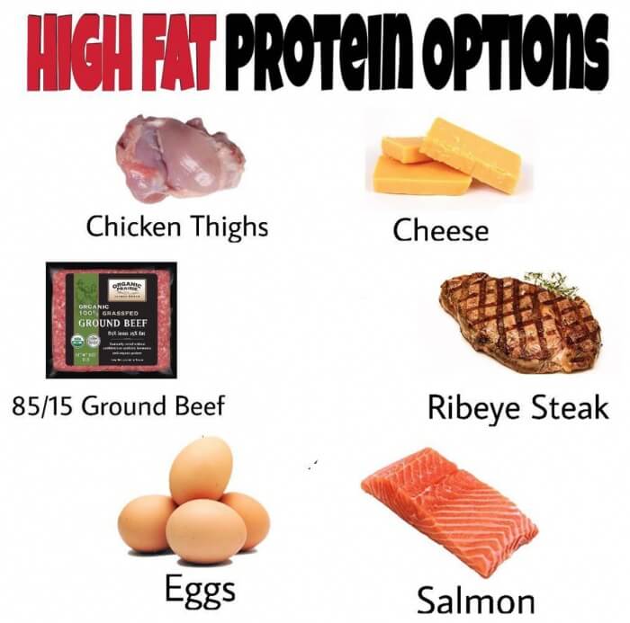 High Fat Protein Options! Healthy Fitness Tips ! Cheese Eggs