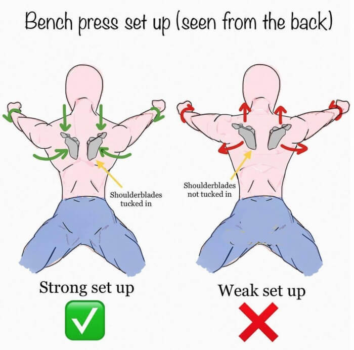Bench Press Set Up Seen From The Back! Best Monday Tips