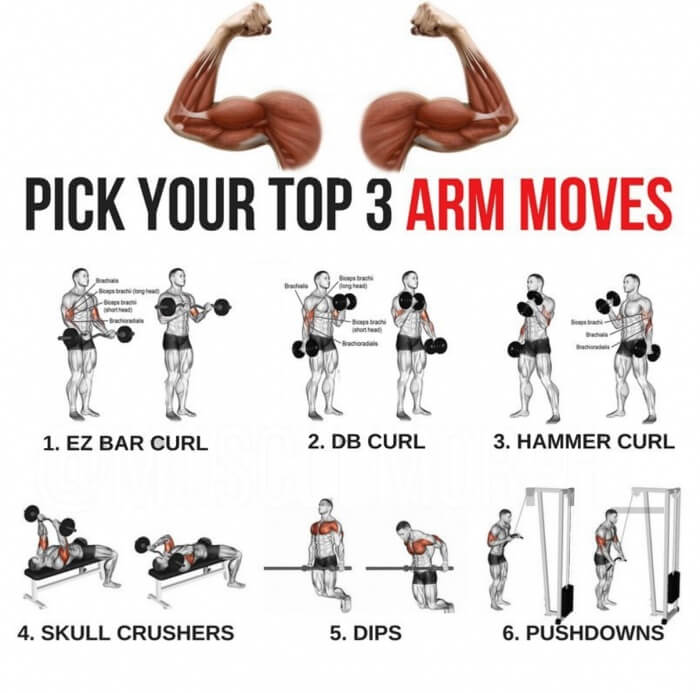 Pick Your Top 3 Arm Moves! Bigger Arms Training Plan - Yeah We Train ! -  Workouts, Exercises & More
