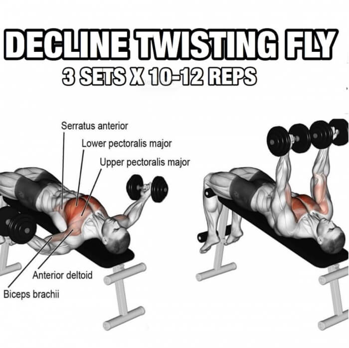 Chest Workout But Slightly Different Part 4! Decline Twisting Fl