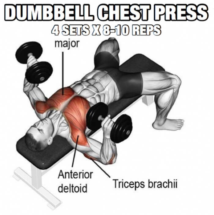 Chest Workout But Slightly Different Part 5! Dumbbell Chest Pres