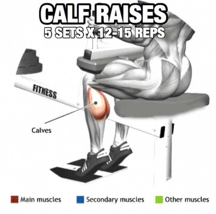 Leg Day Workout But Slightly Different Part 5! Calf Raises
