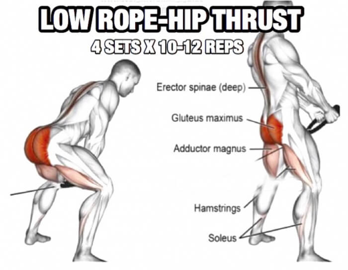thruLeg Day Workout But Slightly Different Part 6! Low Rope-Hip 