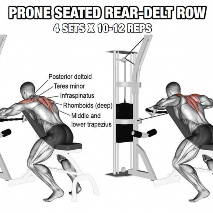 Back Workout But Slightly Different Part 1! Prone Seated Rear-De