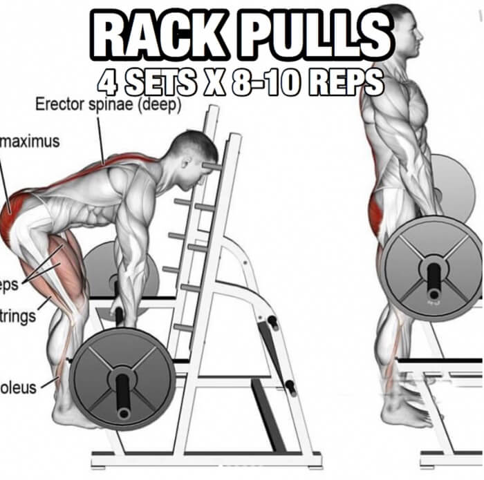 Back Workout But Slightly Different Part 2! Rack Pulls