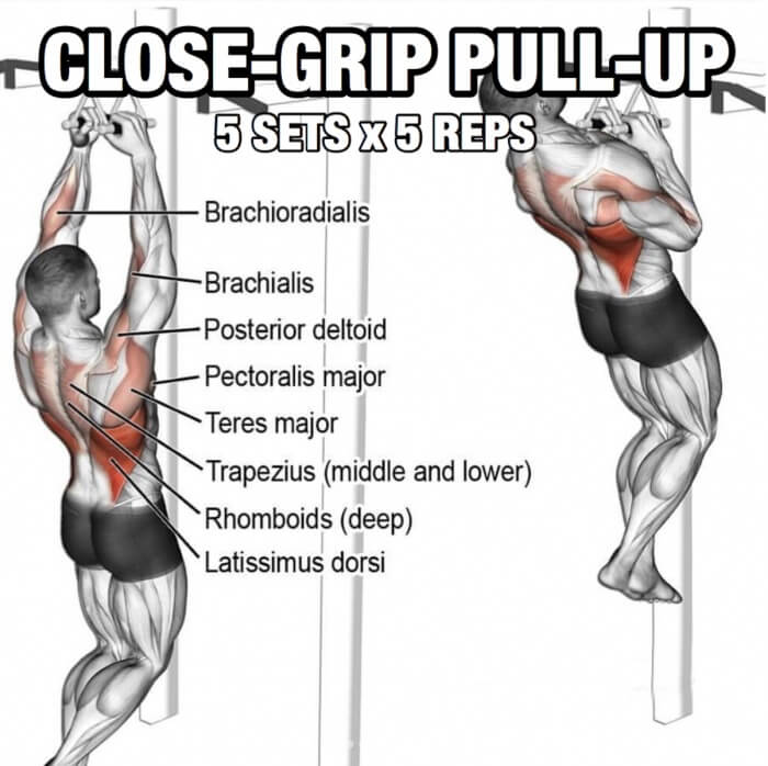 Back Workout But Slightly Different Part 5! Close-Grip Pull-Up