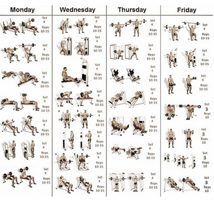 Workday-Split! Best Training Routine For A Stronger Body!