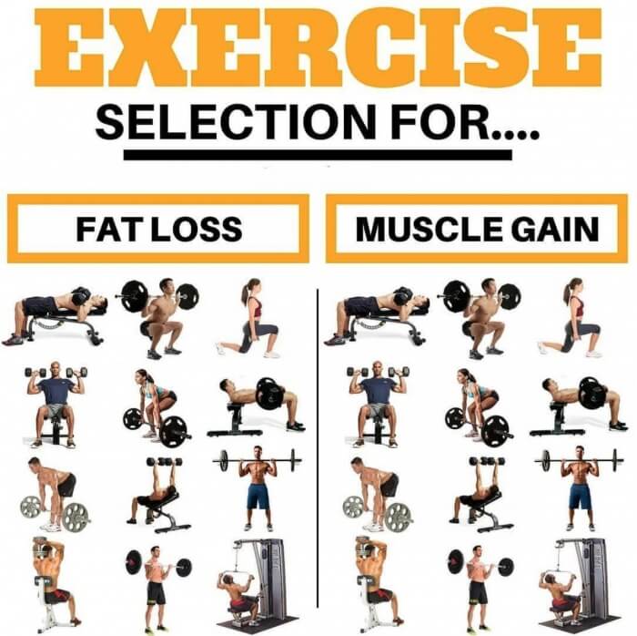 Exercise Selection For Fat Loss and Muscle Gain! Best Fit Tips