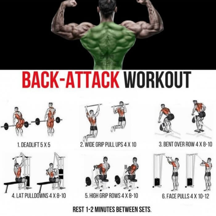 Back-Attack Workout Plan! Best Healthy Fitness Training