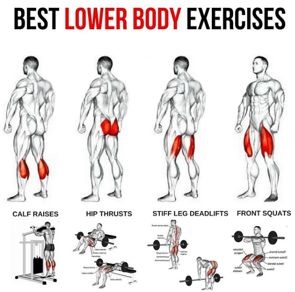 Best Lower Body Exercises Healthy Fitness Workout Plans Tips 