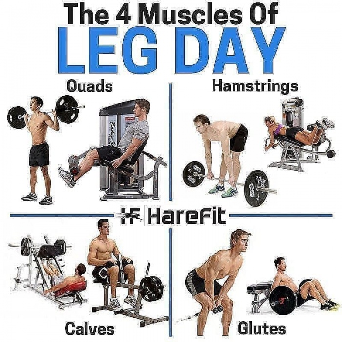 The 4 muscles workout for leg day! Best Body Workout Plan