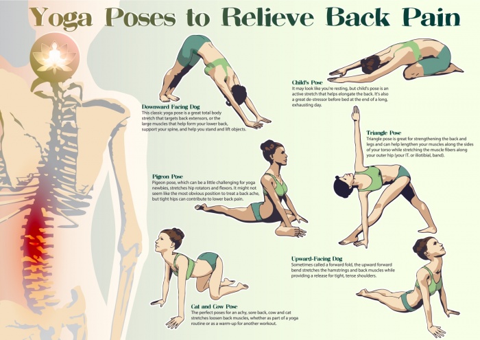 Yoga Poses to relieve back pain - Healthy Fitness Training Plan